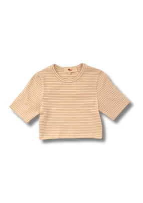 3/4 Sleeve Stripe Crop Top Dusty Pink
