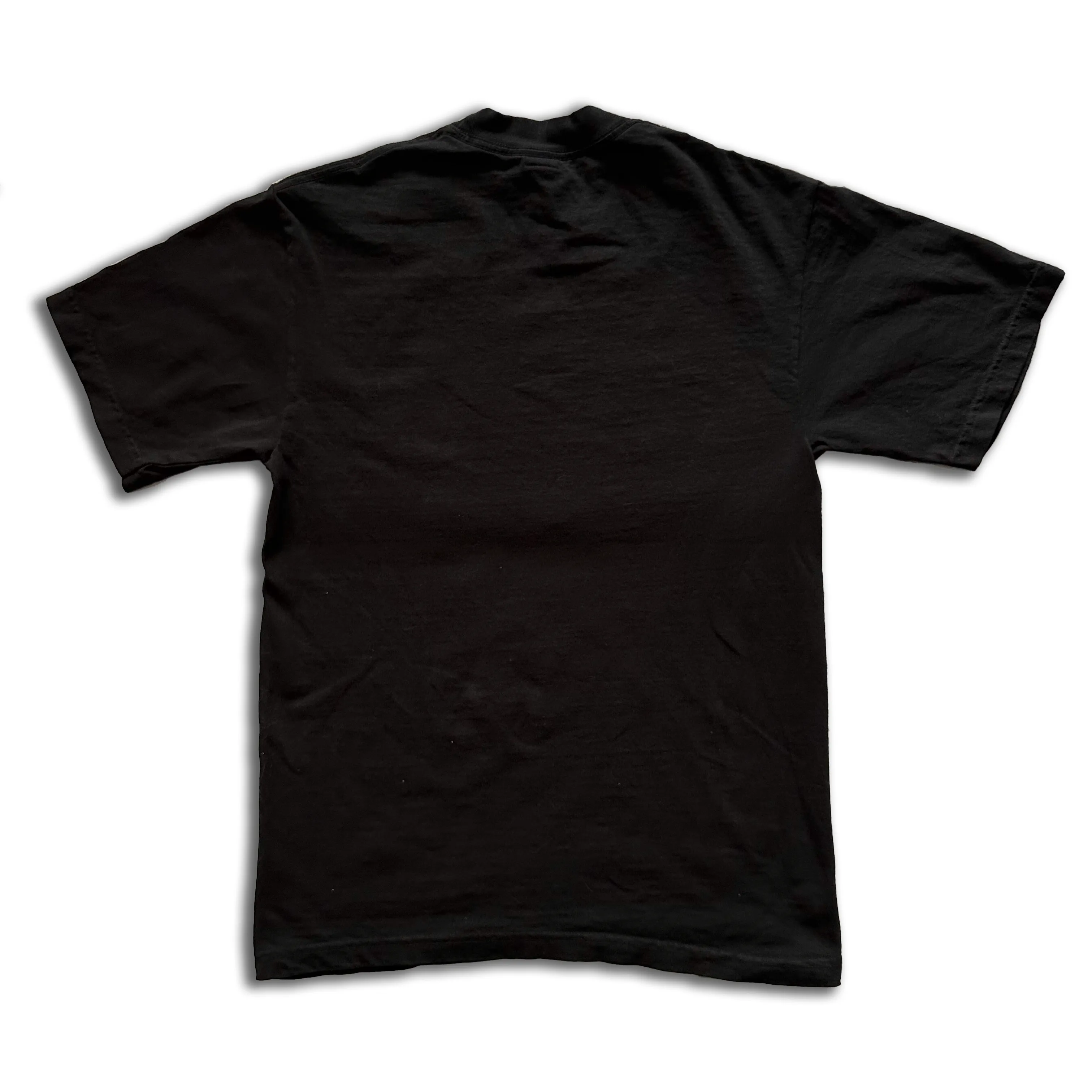 earth still spins t shirt - black