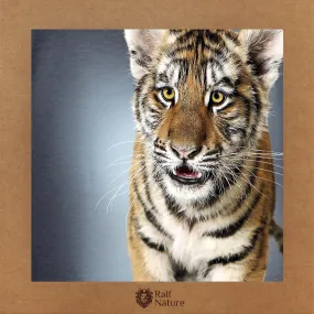 Tiger Baby T-Shirt Kids